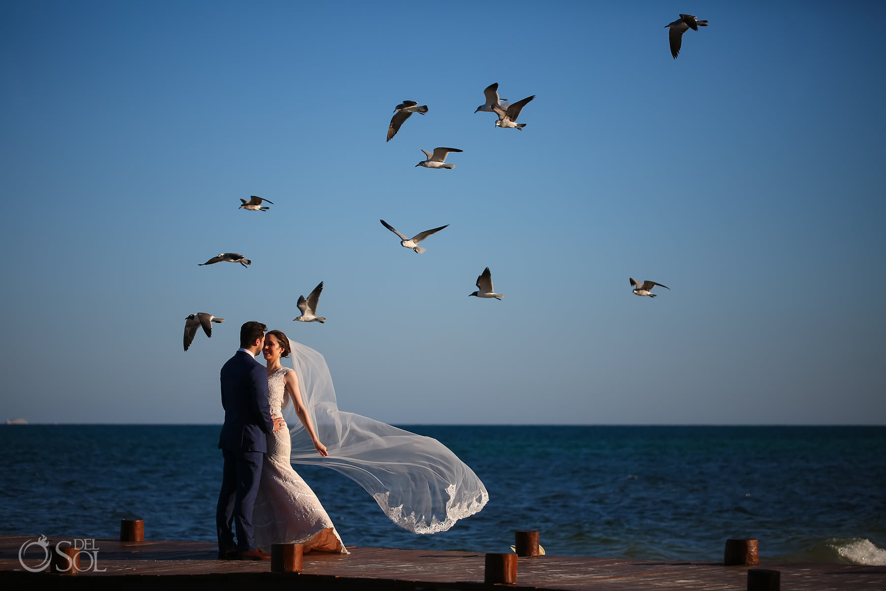 All inclusive resort elopement ideas bride with long veil surrounded by birds